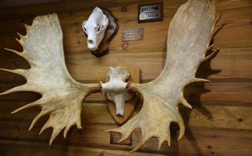 16_Žvejybos ir medžioklės muziejus (1).jpg